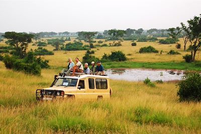 Road trip sur la piste des gorilles