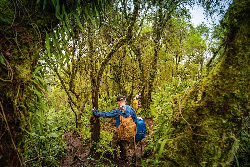 Trek vers le mont Bisoke - Rwanda
