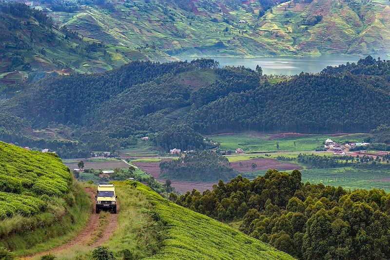 Road trip Ouganda et Rwanda, en 4x4 pour observer chimpanzés, trek gorilles et randonner sur les volcans, de Kigali à Bwindi