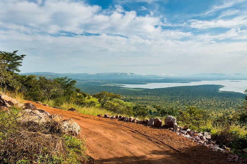Route dans le Parc national de l'Akagera - Province de l'Est - Rwanda