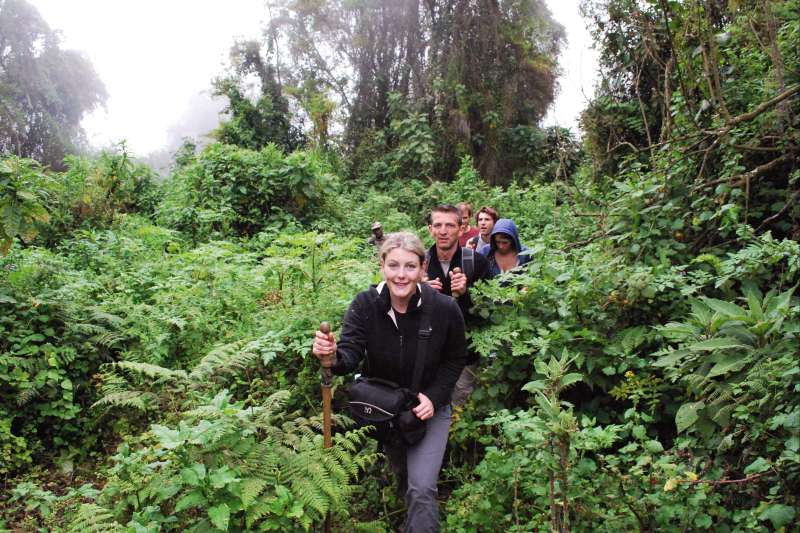 Randonnées sur les sentiers du Congo Nil Trail, Lac Kivu et pistage Chimpanzés et Gorilles !