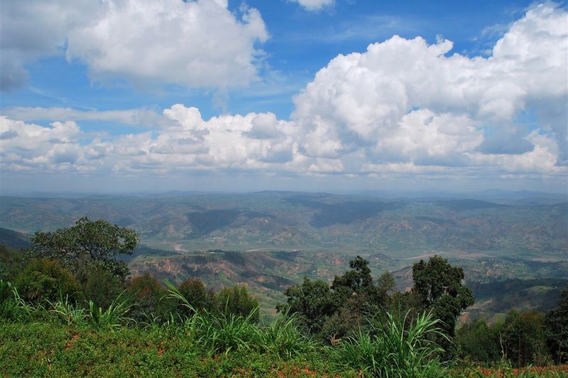 Environs de Kinigi - Rwanda