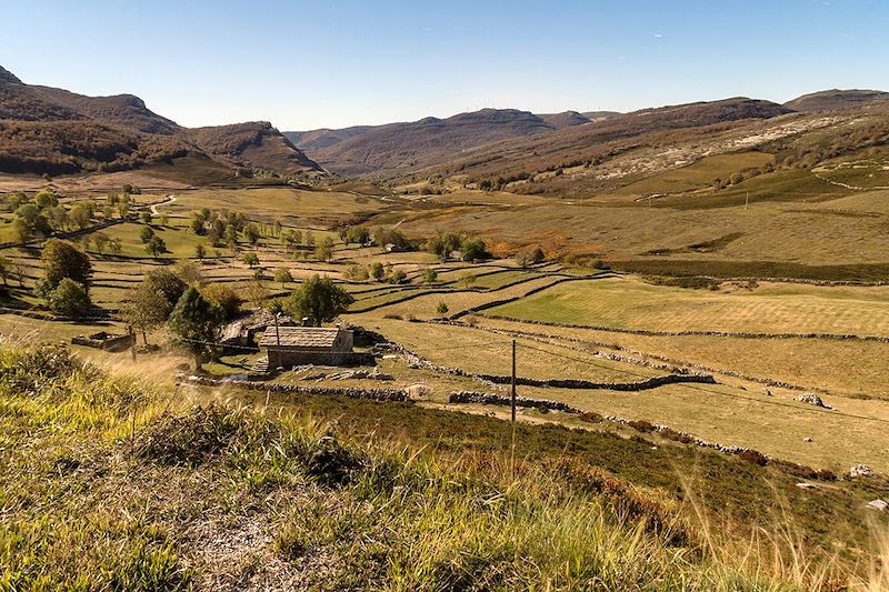 Trésors cachés d'Arabie Saoudite