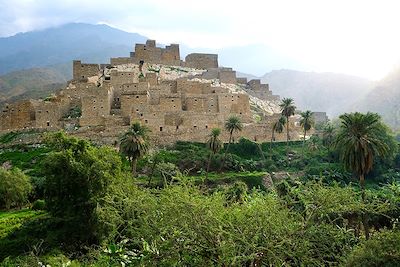 Trésors cachés d'Arabie saoudite 3