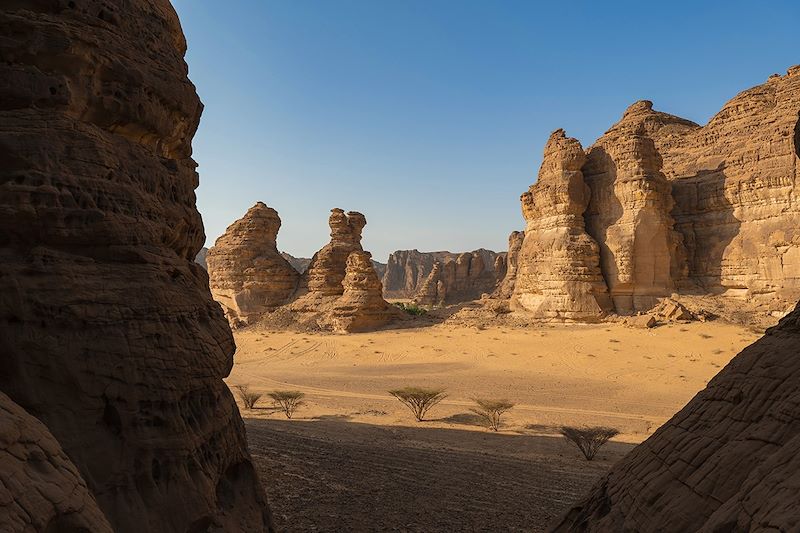 Al-'Ula, sur les sentiers de l'Histoire