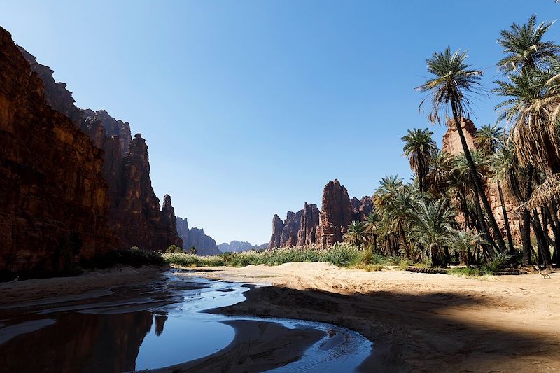 Wadi Disah - Arabie Saoudite