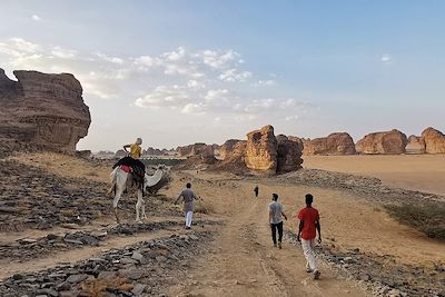 voyage Al-'Ula, sur les sentiers de l'Histoire