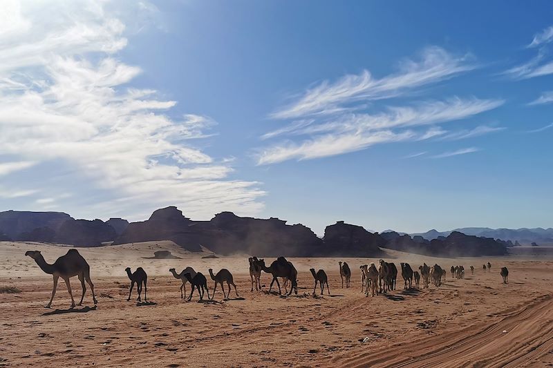 Al-'Ula, sur les sentiers de l'Histoire