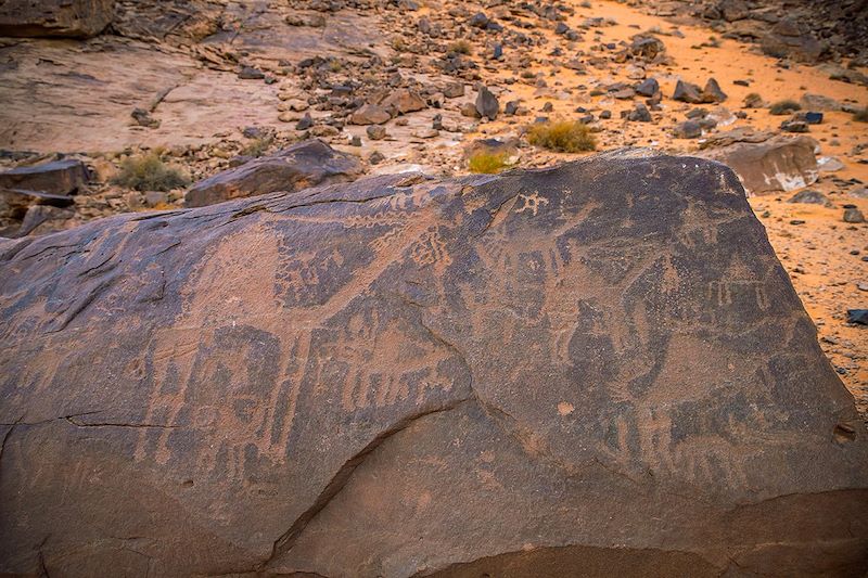 Pétroglyphes à Jubbah - Arabie Saoudite