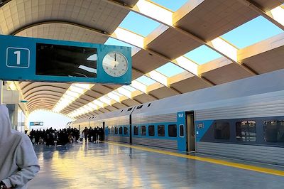 Odyssée historique et culturelle en train 3