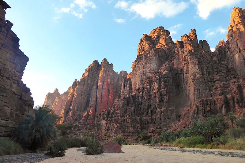 Wadi Al Disah - Arabie Saoudite