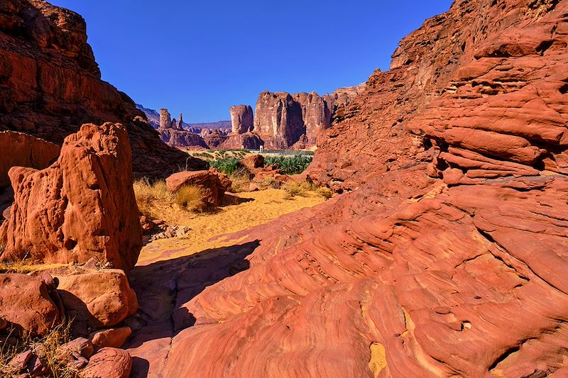 Petite randonnée en Arabie saoudite avec visites des sites d'Hégra, AlUla, Djeddah et le grand canyon d'Al Disah