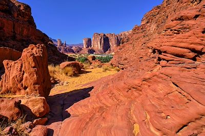 La petite rando arabique