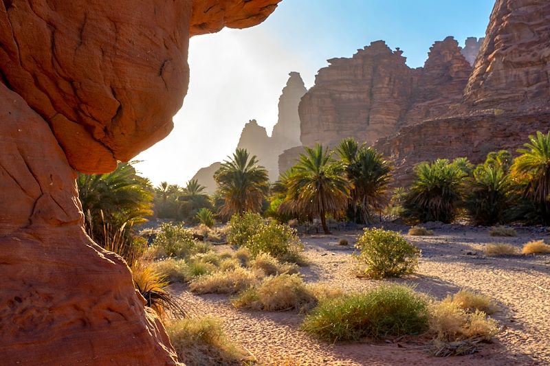 Circuit avec chauffeur francophone privatif à la découverte de la Jordanie et de l’Arabie Saoudite : De Petra à AlUla