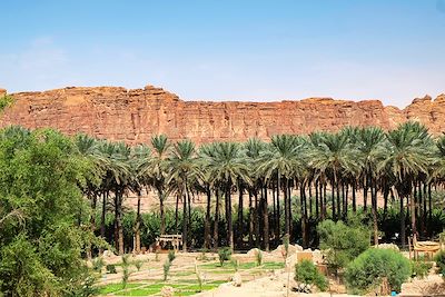 Au cœur de la mystérieuse Arabie saoudite  3