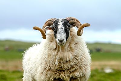 Le meilleur de l'archipel des Hébrides 3
