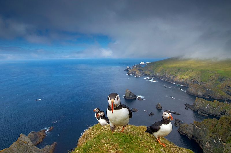 Les îles Shetland, terre de vikings !