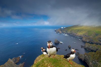 voyage Les îles Shetland, terre de vikings !