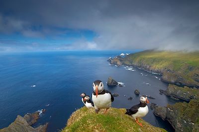 voyage Les îles Shetland, terre de vikings !