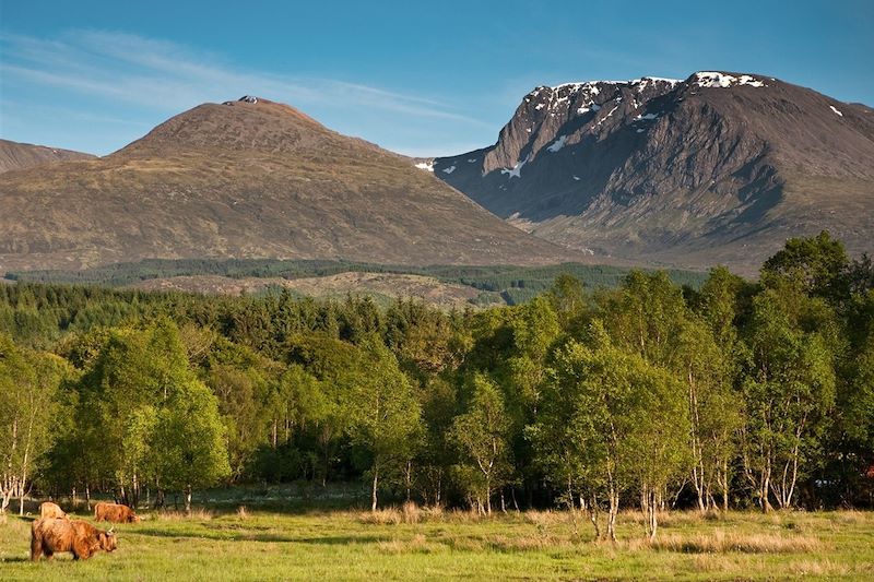 Ben Nevis - Écosse