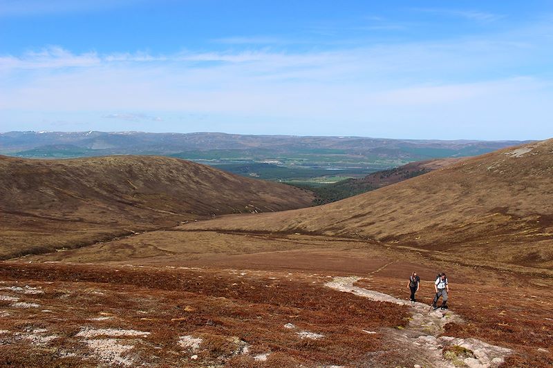 Parc National de Cairngorms - Highlands - Écosse