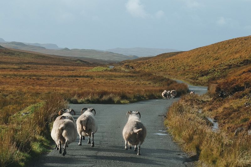 Road trip en Écosse