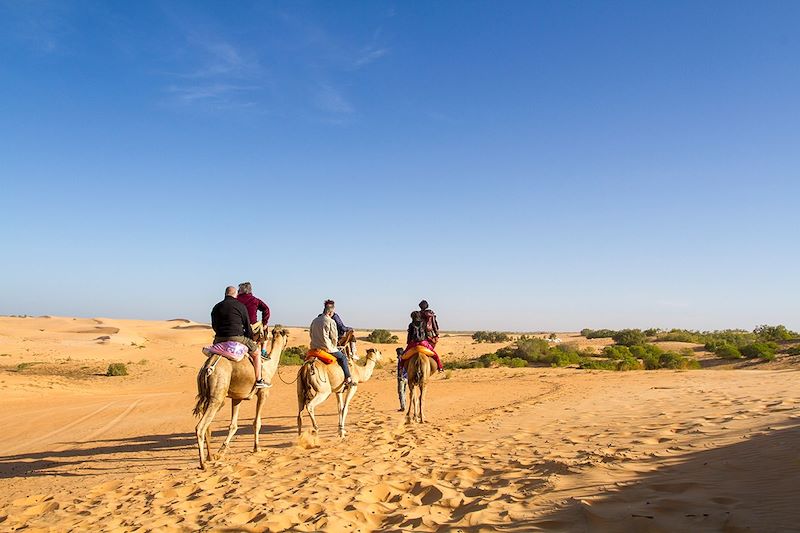 A dos de dromadaires dans le désert - Sénégal