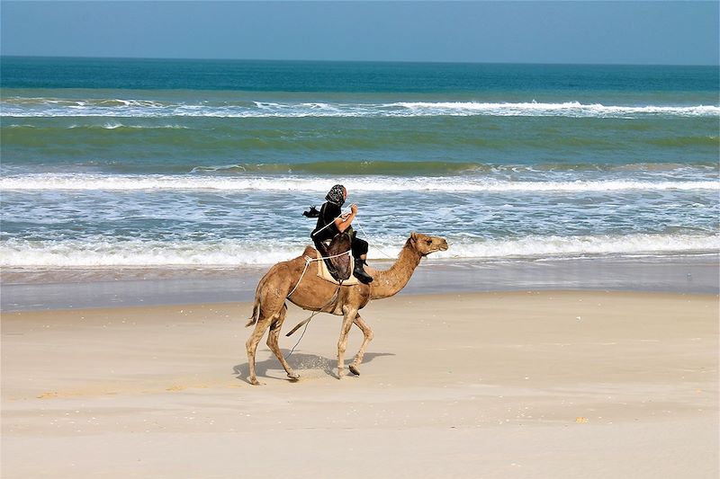 Randonnée chamelière au Sénégal