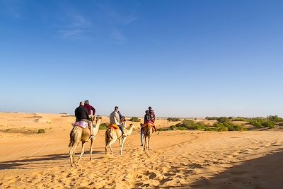 Les trésors gourmands du Sénégal 2