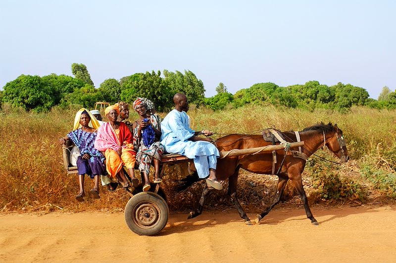 Réserve de Biosphère dans le Siné Saloum - Sénégal
