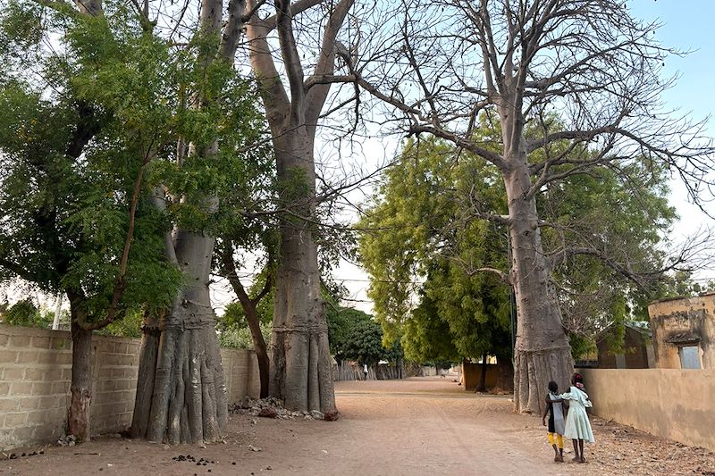 Yayem - Région de Fatick - Sénégal