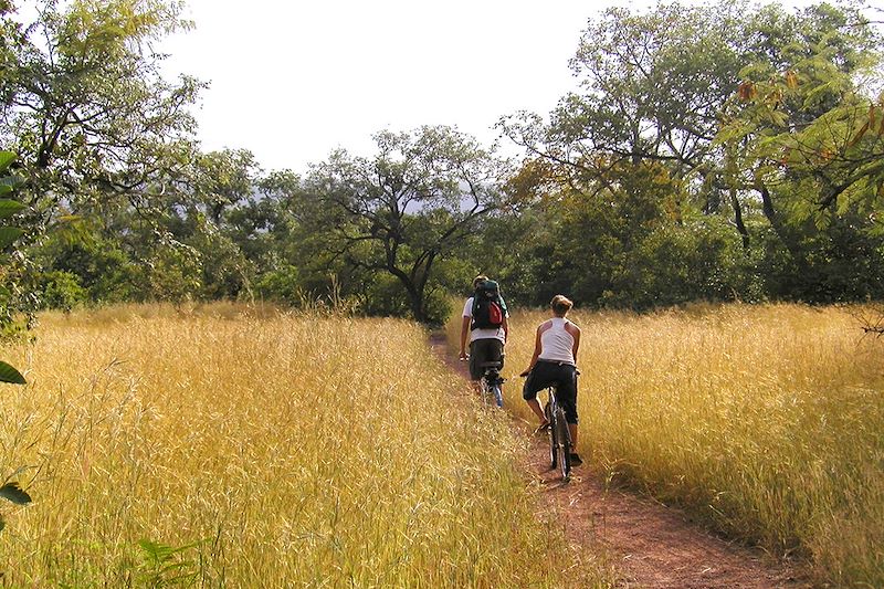 Cyclistes au Sénégal