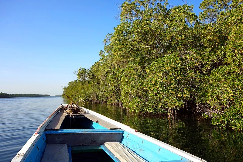Pirogue dans le delta du Saloum - Sénégal