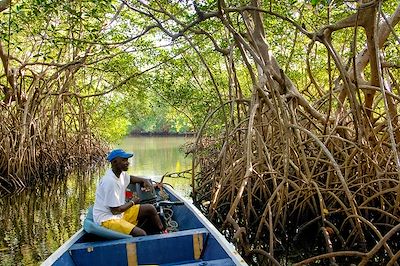voyage Sénégal
