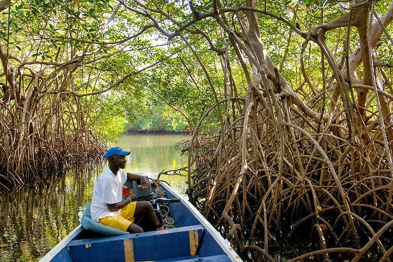 En pirogue dans la mangrove - Sine Saloum - Sénégal