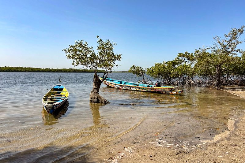 Île de Sipo sur le Delta du Saloum - Sénégal
