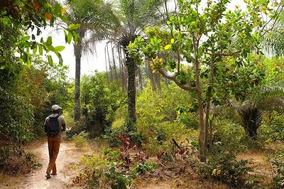 Rando et kayak en Casamance 3