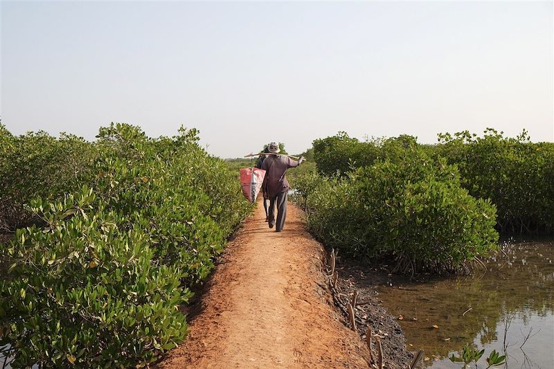 Pointe Saint-Georges - La Casamance - Sénégal