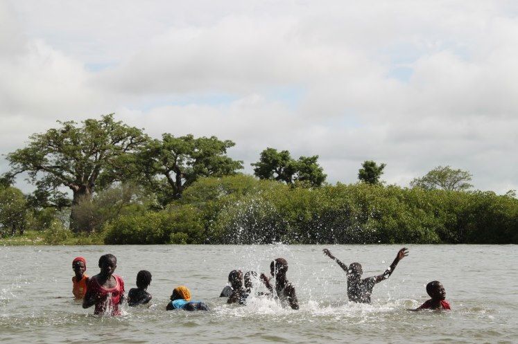 Sine Saloum - Sénégal