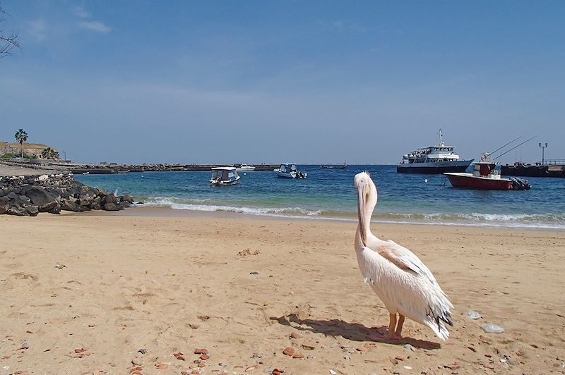 Île de Gorée - Sénégal