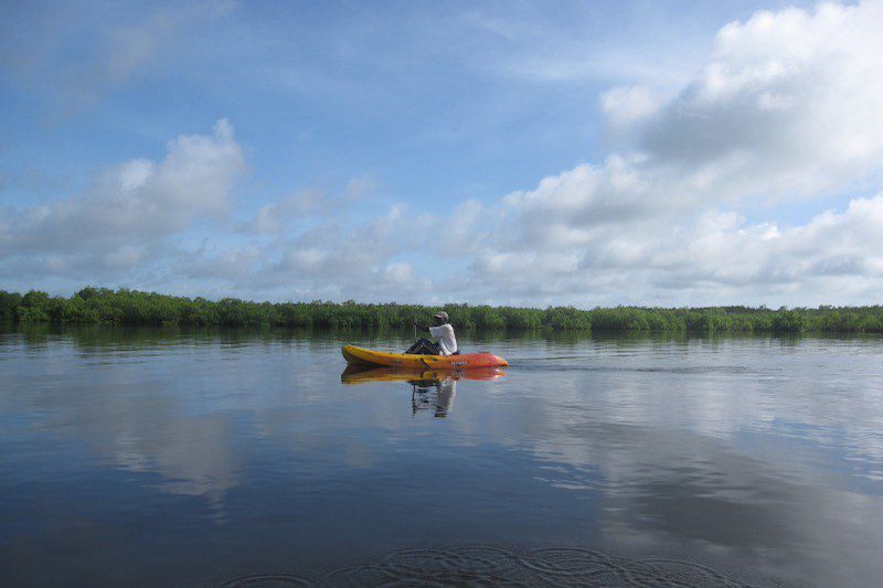 Sine Saloum - Sénégal