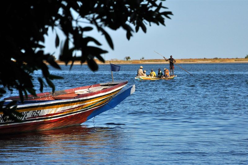 En pirogue au Siné Saloum 