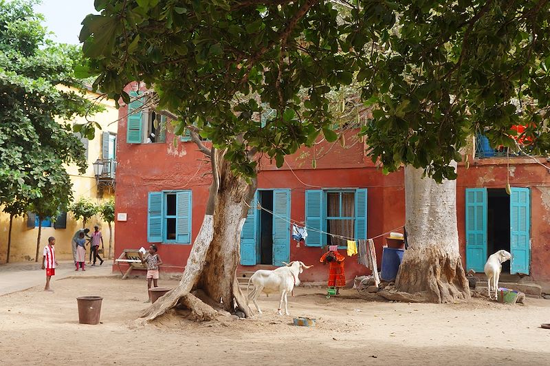 Île de Gorée - Sénégal