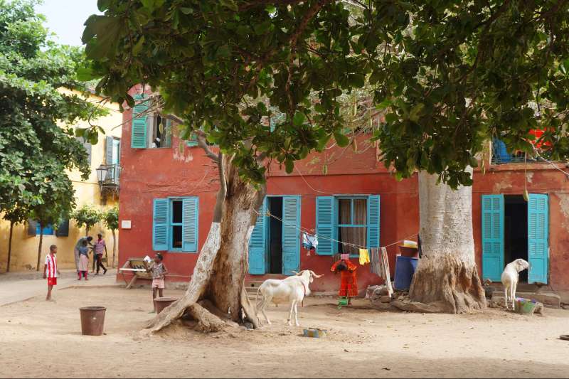En pirogue au Siné Saloum 