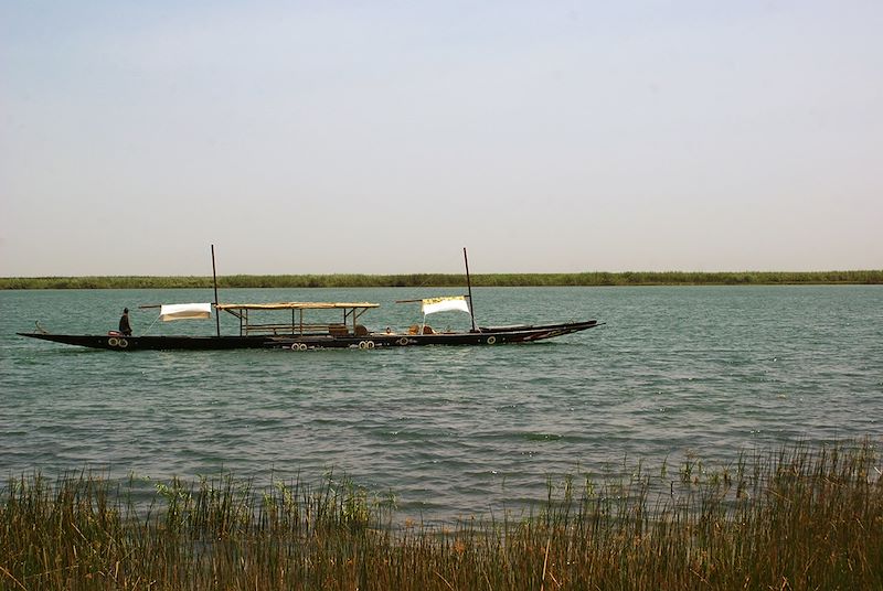 Pirogue sur le fleuve Sénégal