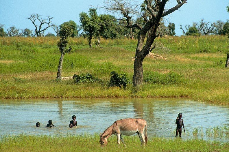 Le Sine Saloum intime ...