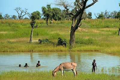Le Sine Saloum intime ... 4