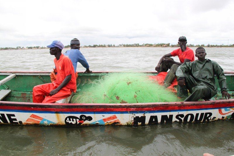 Sine Saloum - Sénégal