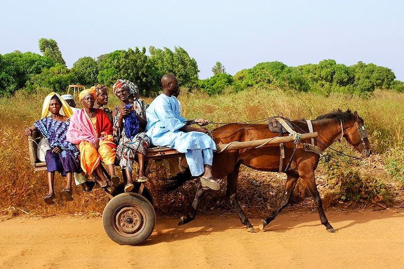 voyage Sénégal