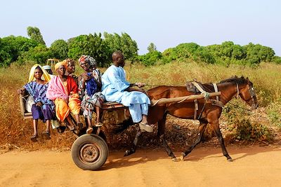 voyage Sénégal